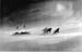 Sledging